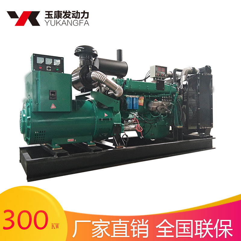300kw發(fā)電機圖片/300kw發(fā)電機樣板圖 (4)