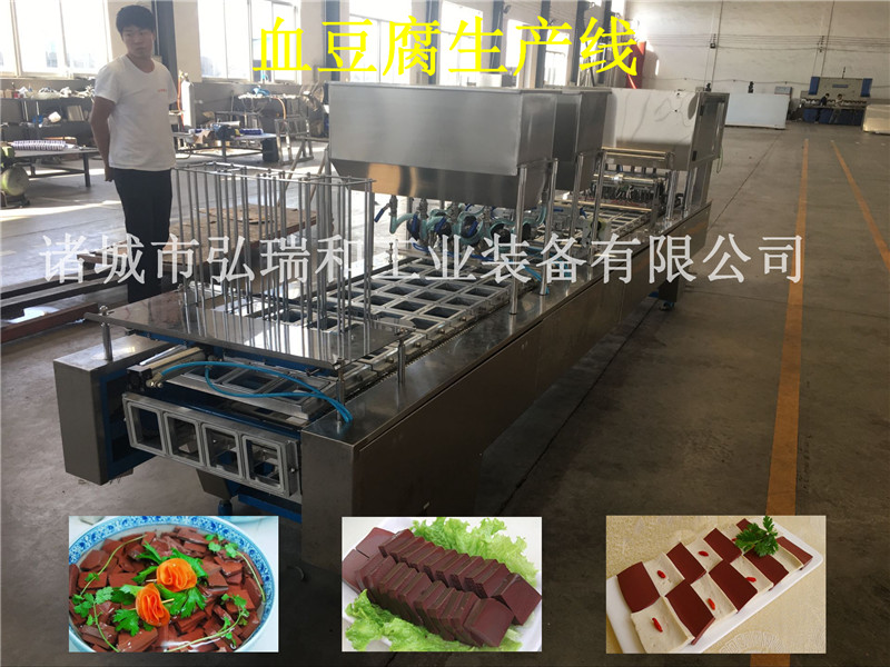 老鴨圖片/老鴨樣板圖 (4)