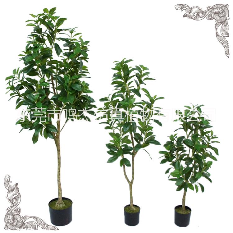 廠家直銷仿真招財樹盆栽植物室內(nèi)家居裝飾工藝品 工廠定制批發(fā)綠植盆栽 仿真綠植 仿真招財樹盆景PC099