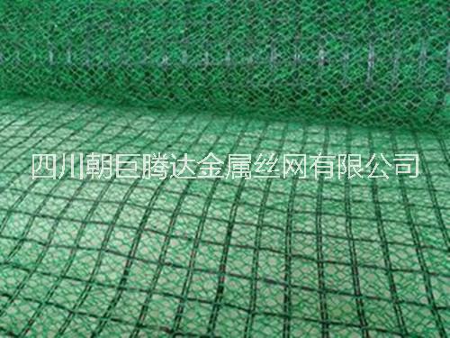 植被網(wǎng)圖片/植被網(wǎng)樣板圖 (3)