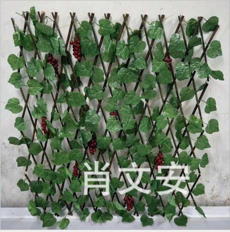 裝飾柳簾圖片/裝飾柳簾樣板圖 (3)