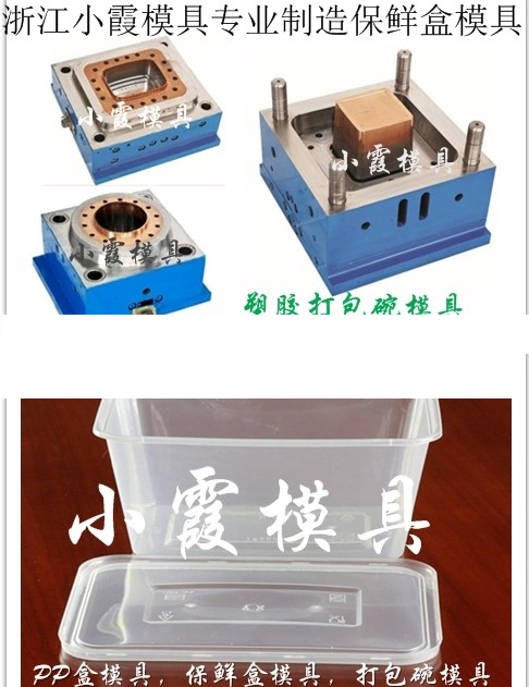 4500毫升打包盒塑料模具圖片/4500毫升打包盒塑料模具樣板圖 (4)