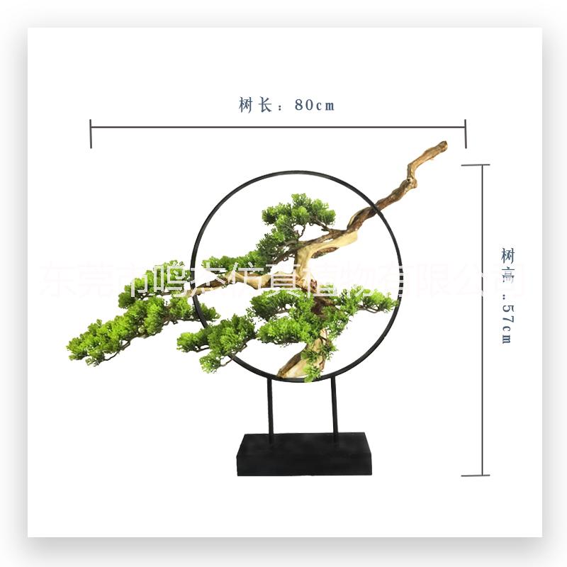 仿真崖柏松盆景BC129圖片/仿真崖柏松盆景BC129樣板圖 (4)