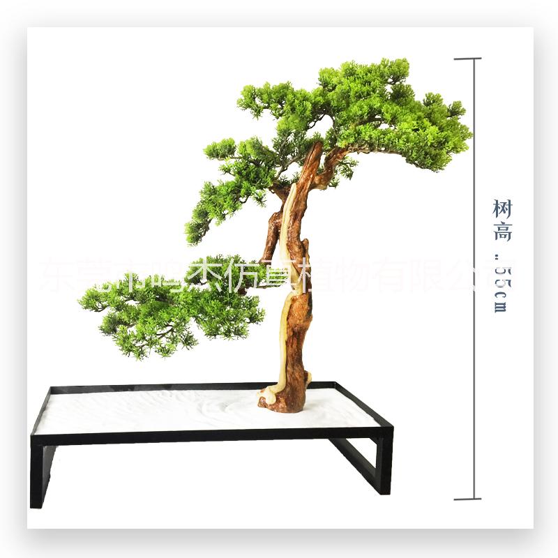 仿真崖柏松盆景BC126-1圖片/仿真崖柏松盆景BC126-1樣板圖 (4)