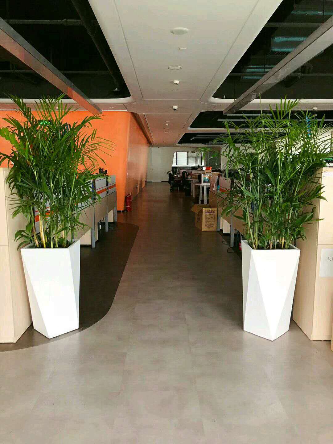 綠植圖片/綠植樣板圖 (3)