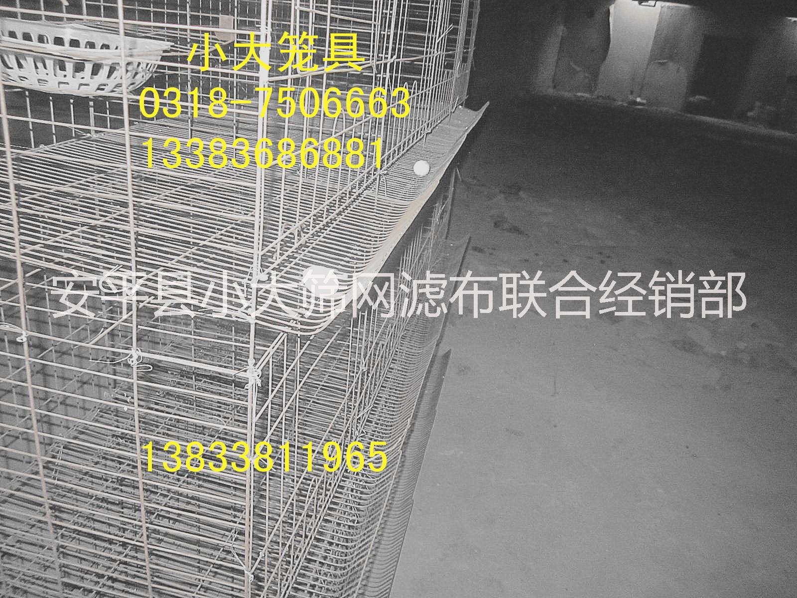 狐貍籠圖片/狐貍籠樣板圖 (3)