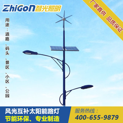 廠家直銷智光戶外照明訂制6-12米風(fēng)光互補(bǔ)太陽(yáng)能LED路燈道路照明