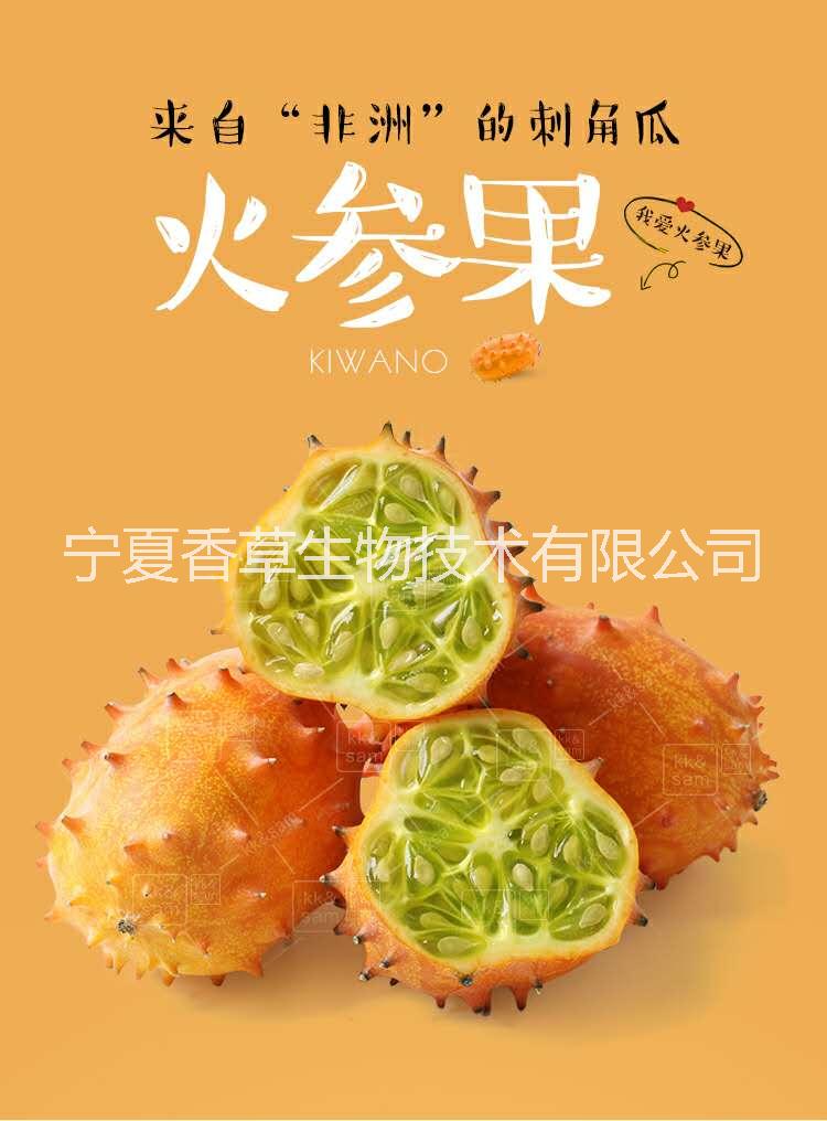 果粉圖片/果粉樣板圖 (2)