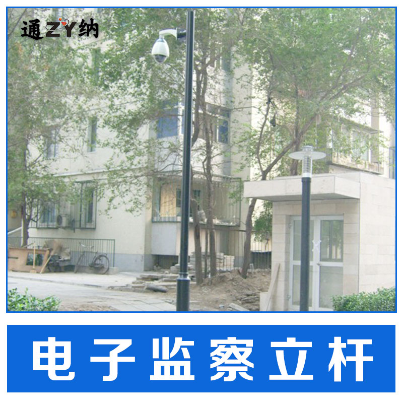 北京市广东专业生产楼宇监控立杆厂家直销厂家