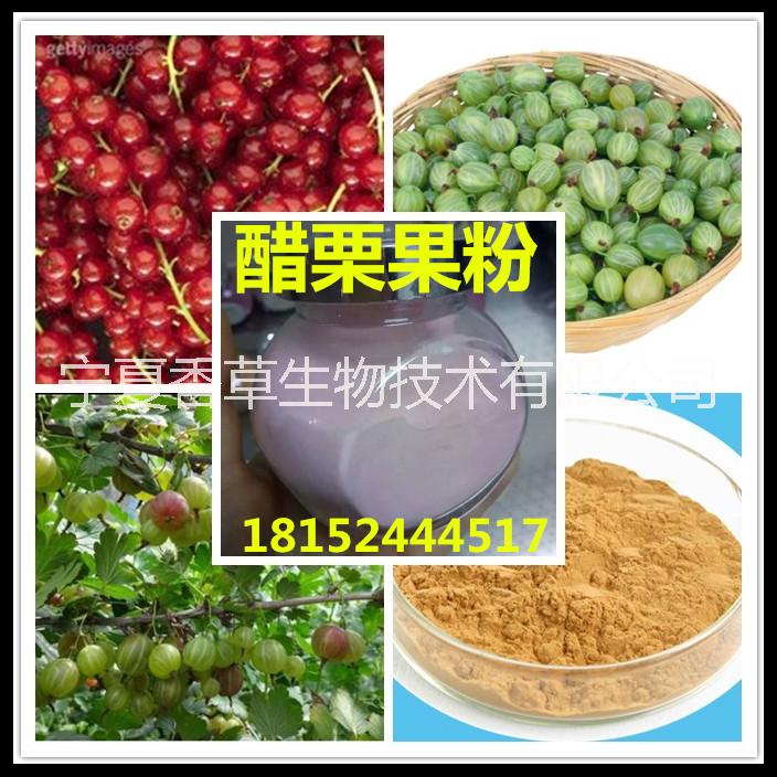 醋栗果粉 東北鮮燈籠果粉 綠櫻桃果汁粉 寧夏紅醋栗果粉 黑醋栗濃縮汁粉 醋栗提取物 綠醋栗粉
