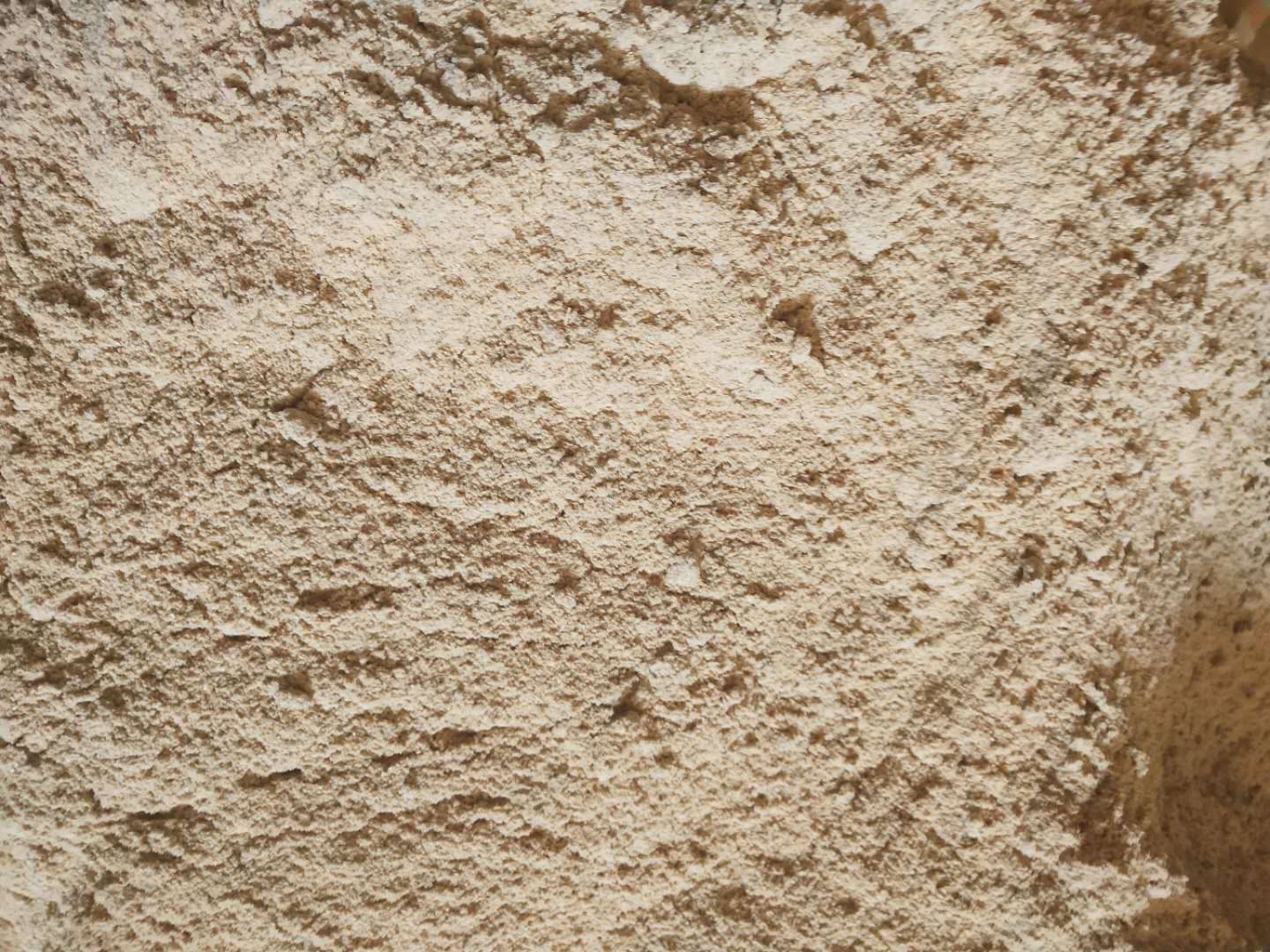 大米糠，畜禽飼料，豬，牛羊，雞，