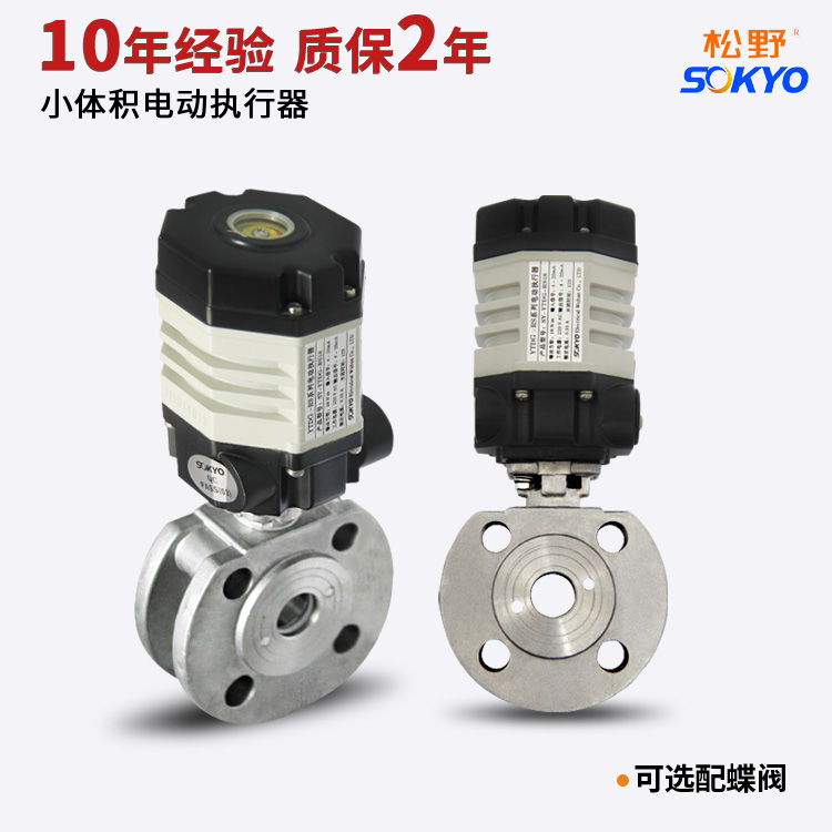 SOKYO松野YTDG電動(dòng)執(zhí)行器圖片/SOKYO松野YTDG電動(dòng)執(zhí)行器樣板圖 (2)