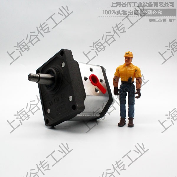 齒輪泵圖片/齒輪泵樣板圖 (2)