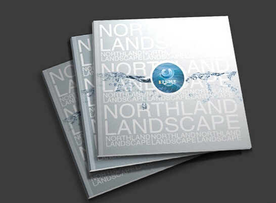 ?？谟∷S家專業(yè)訂做*樓書 服裝畫冊 產(chǎn)品畫冊