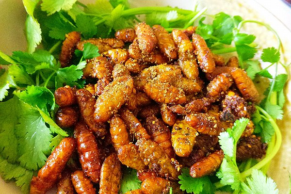 600型雙封條真空包裝機孜然蠶蛹*真空包裝機生產(chǎn)廠家
