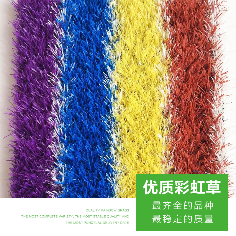 河南彩虹草圖片