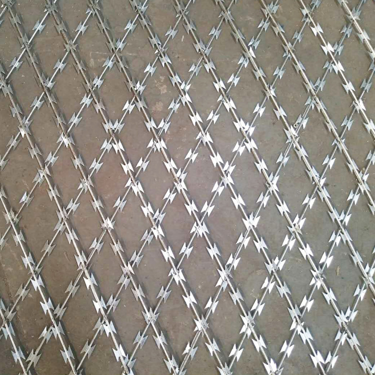 刀片刺網(wǎng)圖片/刀片刺網(wǎng)樣板圖 (4)