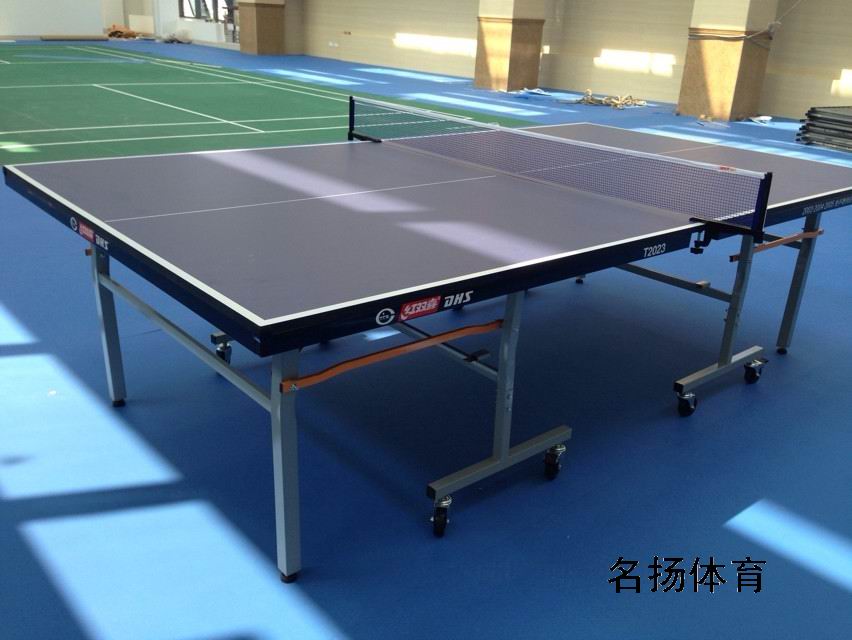 室內(nèi)折疊式乒乓球臺圖片