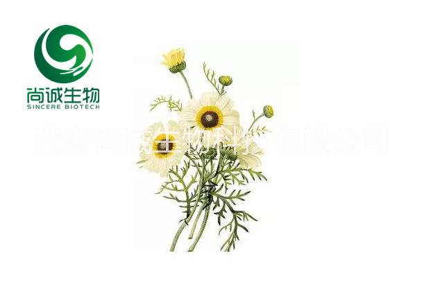 洋甘菊提取物 芹菜素0.8-98图片