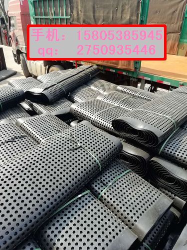 地下室排水板圖片/地下室排水板樣板圖 (2)