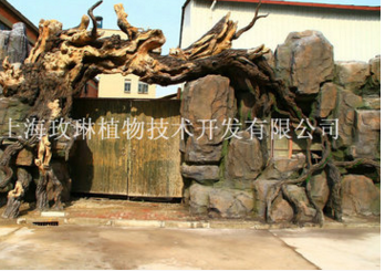 上海仿真樹假山石廠家直銷 上海仿真樹假山石批發(fā)價(jià)格 上海仿真樹假山石批發(fā)價(jià)格 上海仿真樹假山石專賣店