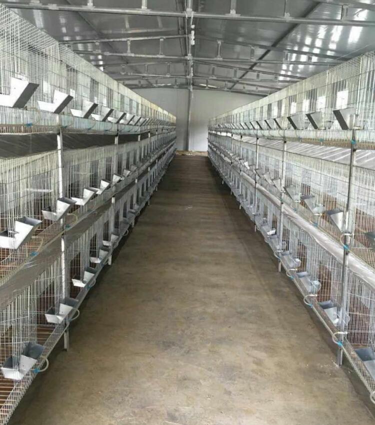 不銹鋼兔籠廠家*