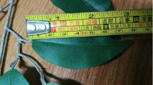 防火阻燃圖片/防火阻燃樣板圖 (3)