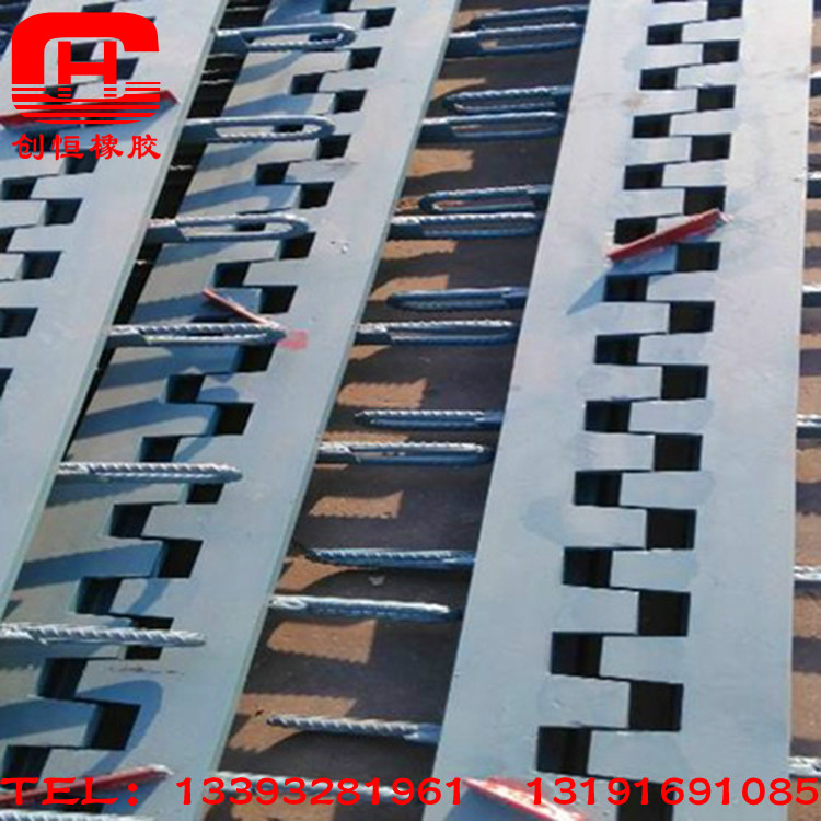 橋梁伸縮縫裝置圖片/橋梁伸縮縫裝置樣板圖 (3)