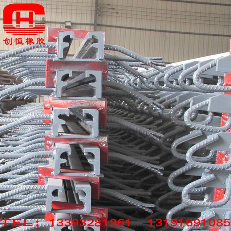 橋梁伸縮縫裝置圖片/橋梁伸縮縫裝置樣板圖 (3)