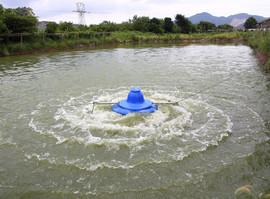 三相单相鱼塘虾塘涌浪式推浪式增氧机 涌浪式增氧机