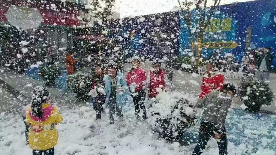 雪花機(jī)圖片/雪花機(jī)樣板圖 (2)