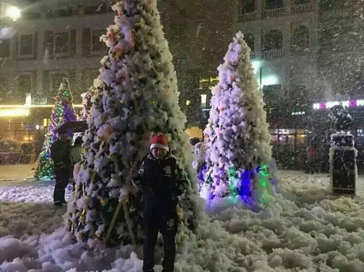 雪花機(jī)圖片/雪花機(jī)樣板圖 (3)