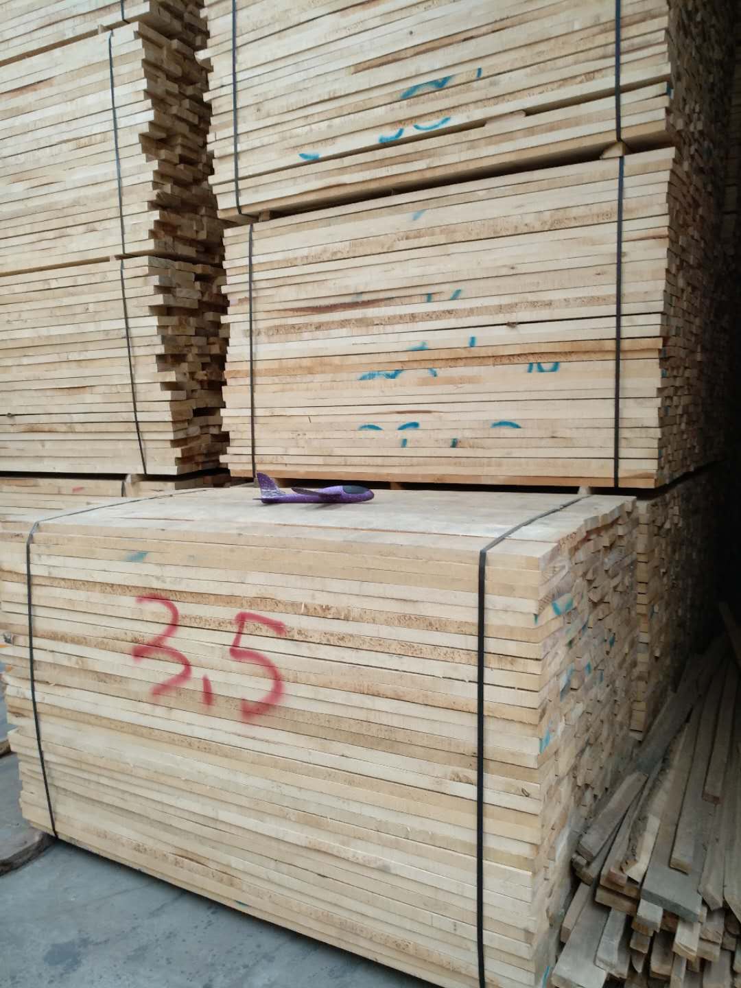 浙江歐洲樺木 歐洲樺木價格 歐洲樺木廠家 歐洲樺木商鋪 歐洲樺木批發(fā) 歐洲樺木報價 歐洲樺木供應商圖片