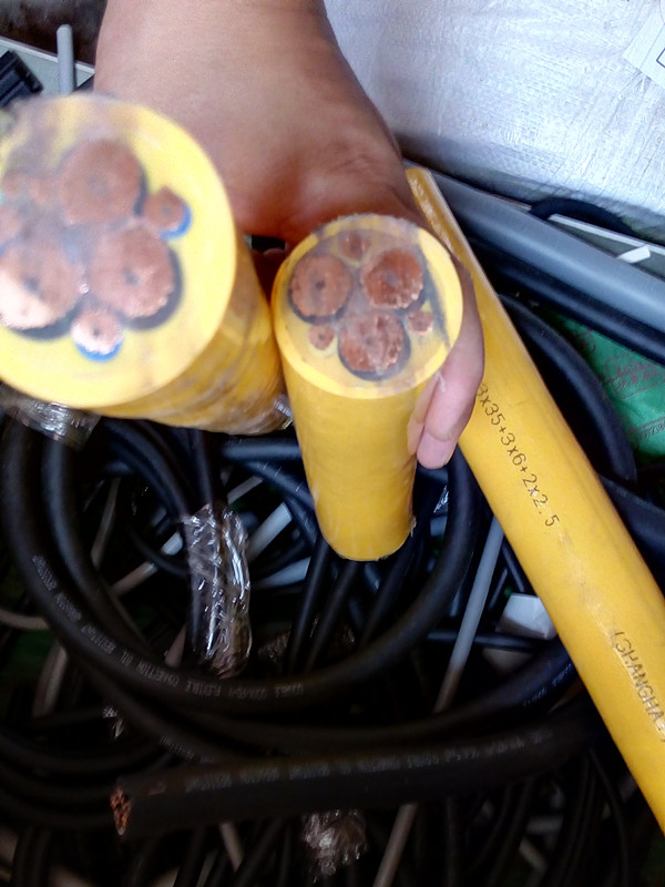 東北使用耐低溫耐磨耐彎曲護套電纜圖片/東北使用耐低溫耐磨耐彎曲護套電纜樣板圖 (3)