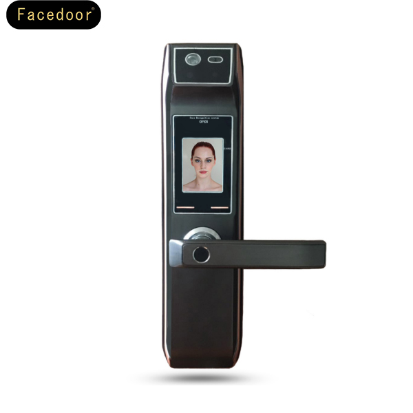 Face door人臉識(shí)別家用防盜智能鎖