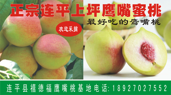 上坪鷹嘴蜜桃圖片/上坪鷹嘴蜜桃樣板圖 (3)