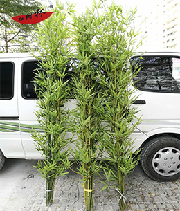 竹子圖片/竹子樣板圖 (4)