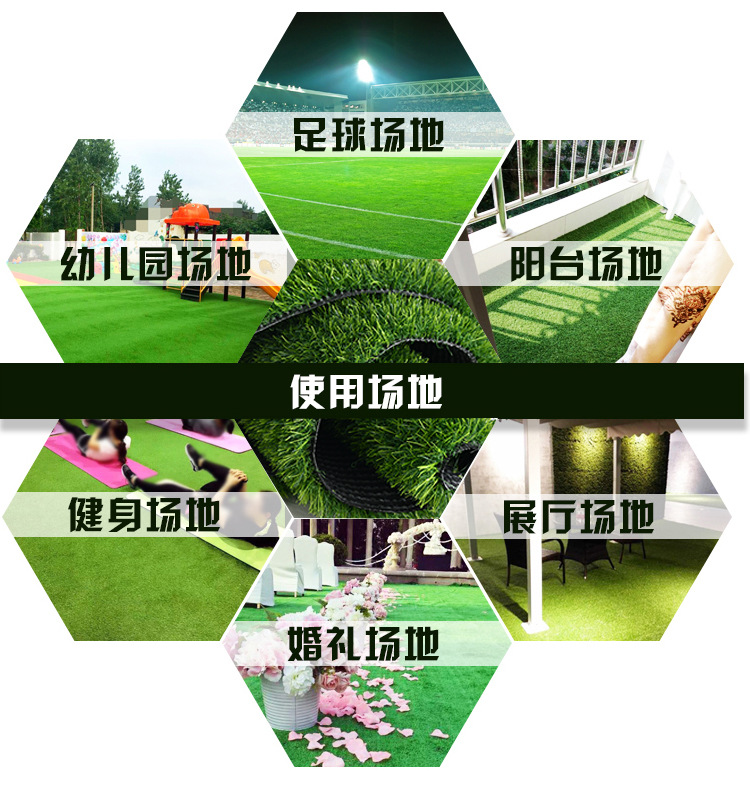 人造草坪圖片/人造草坪樣板圖 (3)