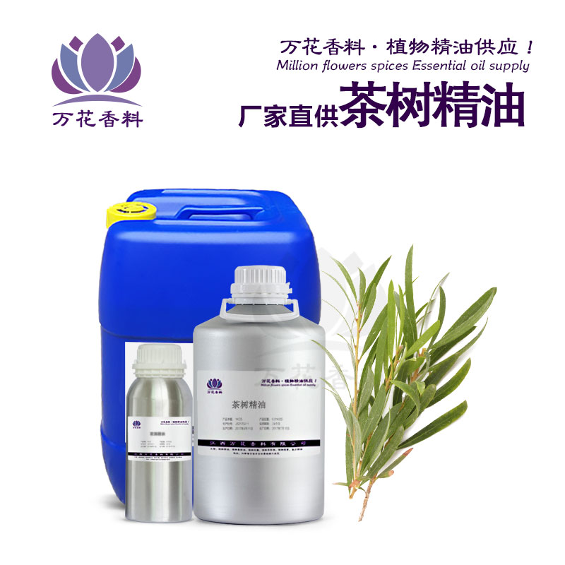 精油廠家供應(yīng)澳洲茶樹精油 茶樹精油 單方精油 精油批發(fā)