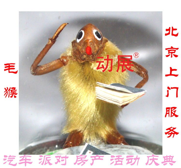 老北京毛猴DIY制作老北京毛猴DIY制作傳統(tǒng)手工藝品 體驗毛猴藝術(shù) 非遺進校園