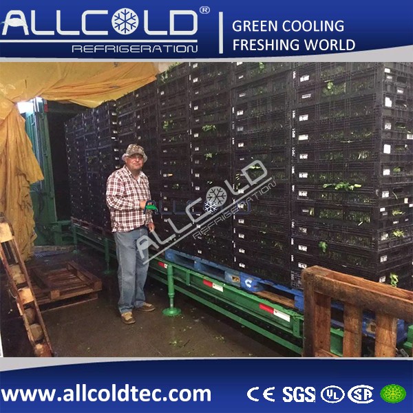 果蔬真空預(yù)冷機，熟食快速冷卻機 果蔬真空預(yù)冷機，食用菌預(yù)冷機