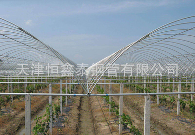 鍍鋅橢圓管圖片/鍍鋅橢圓管樣板圖 (3)