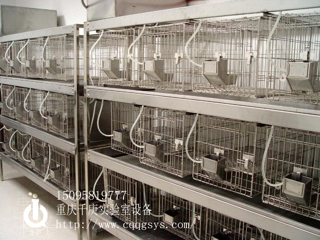 重慶潔凈室/P2實(shí)驗(yàn)室/ 重慶潔凈室P2實(shí)驗(yàn)室恒溫恒濕室 潔凈室/P2實(shí)驗(yàn)室/恒溫恒濕室