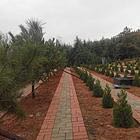 變化圖片/變化樣板圖 (2)