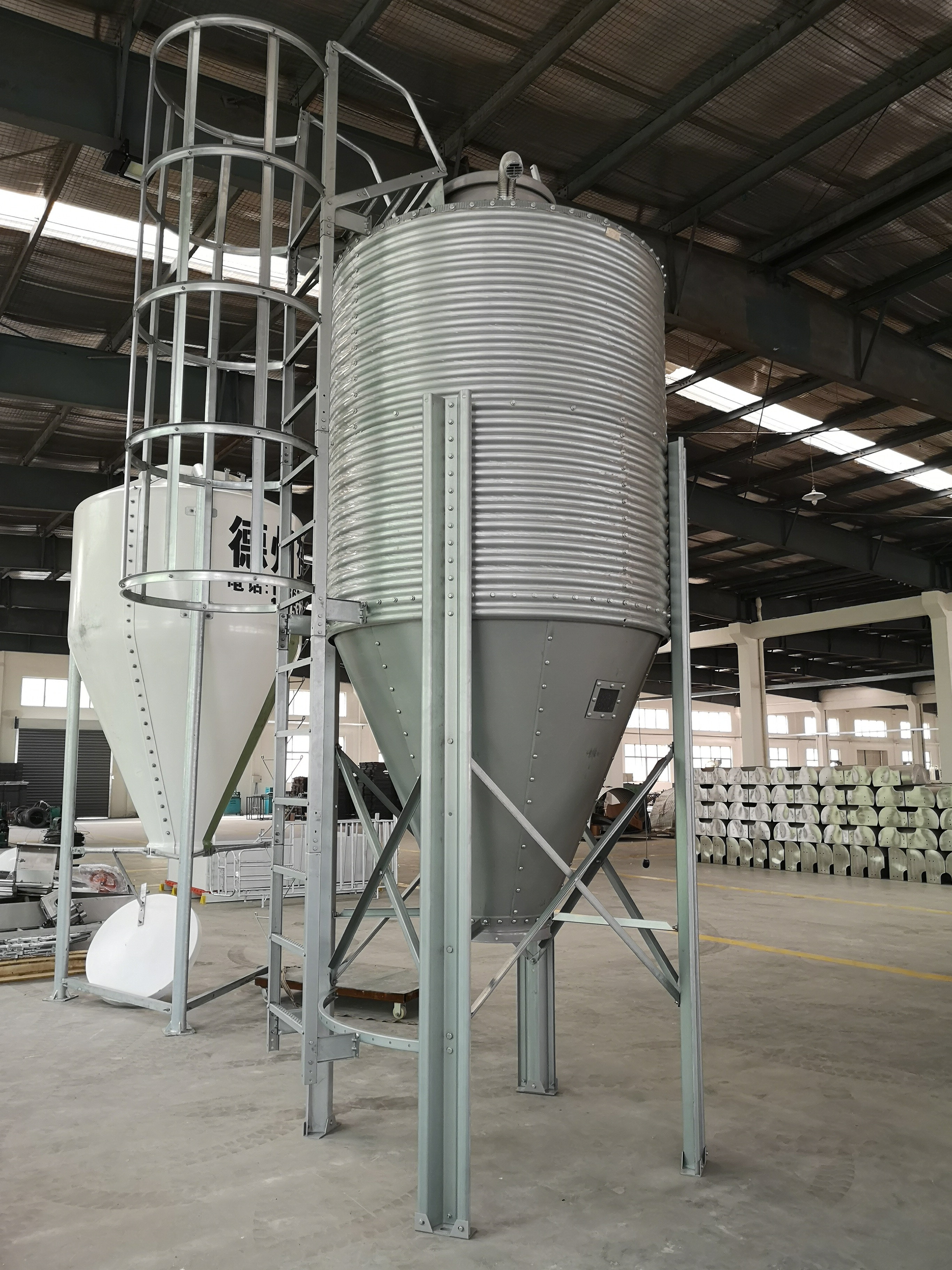 母豬定位欄圖片/母豬定位欄樣板圖 (3)