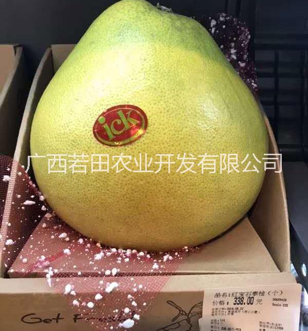 還在傻傻的種三紅蜜柚？泰國(guó)紅寶石柚的時(shí)代來了 若田鉆石青柚 泰國(guó)紅寶石柚