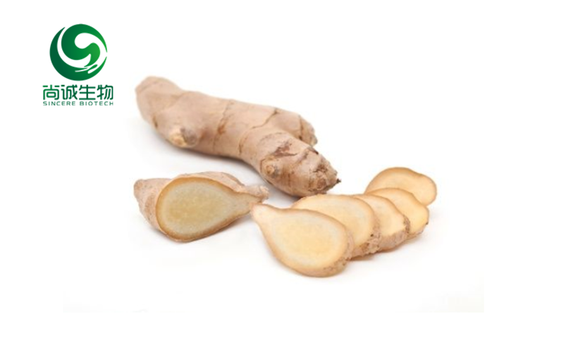 生姜提取物姜辣素圖片/生姜提取物姜辣素樣板圖 (1)