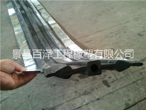 鋼邊橡膠止水帶圖片/鋼邊橡膠止水帶樣板圖 (2)