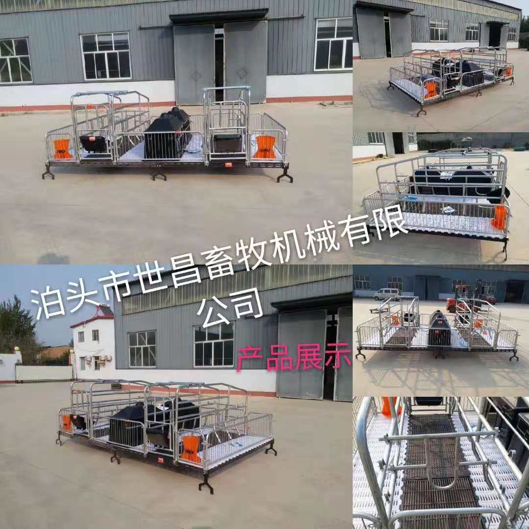 母豬產(chǎn)床圖片/母豬產(chǎn)床樣板圖 (2)