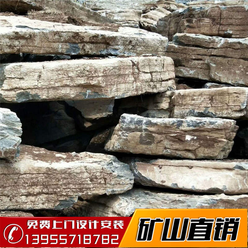 山東千層石圖片/山東千層石樣板圖 (4)